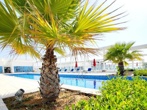 Photo #2 of Luxurious 2 bedroom Beachfront Apartment - direct seaview in Jazeerat Al Marjan, United Arab Emirates