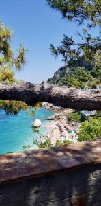Photo #6 of I'M JOY in Vlorë, Albania