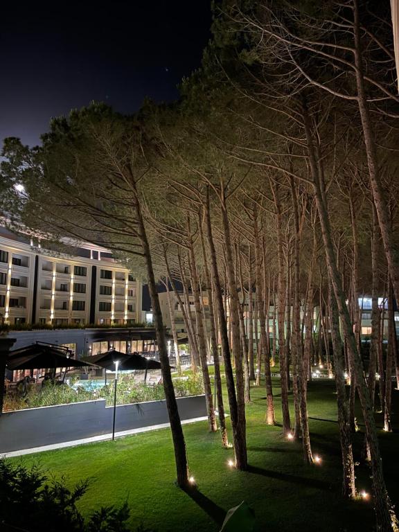 Photo #1 of EME APARTMENTS - Kompleksi Lura 2 Gjiri i Lalzit in Plazhi San Pietro, Albania