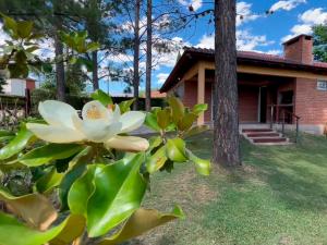 Photo #6 of Las Magnolias - Casas de Campo in Mina Clavero, Argentina
