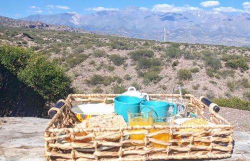 Photo #2 of Revolucionarte.Potrerillos in Potrerillos, Argentina