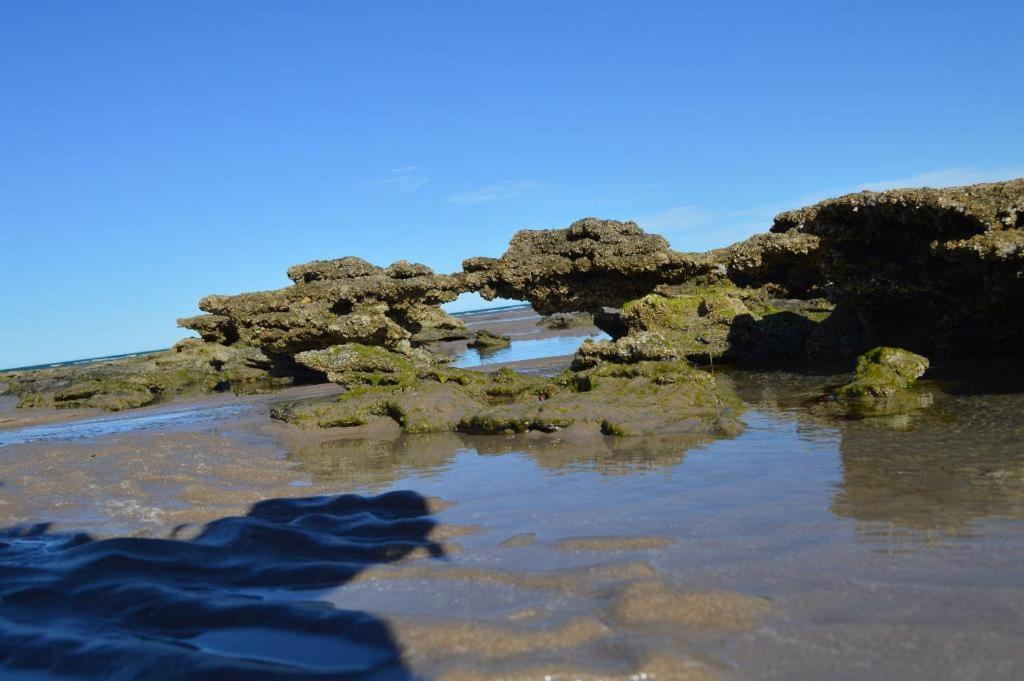 Photo of Mecohue in Playas Doradas, Argentina