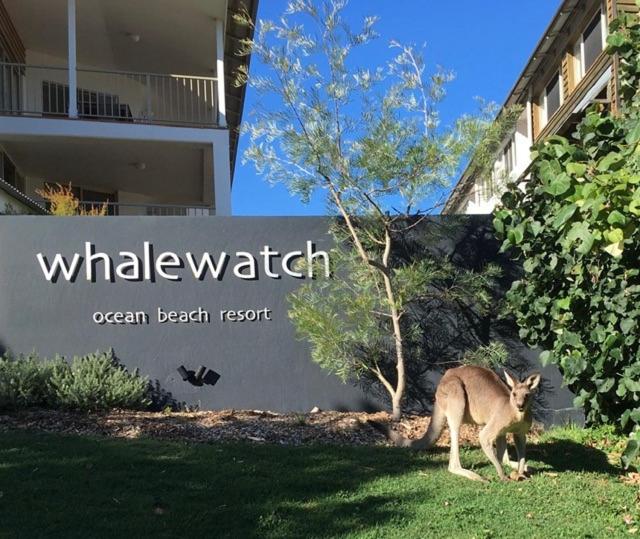Photo of Whale Watch Ocean Beach Resort in Point Lookout, Australia