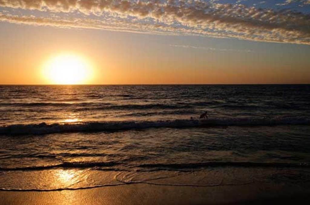 Photo #1 of Ocean View Motel in North Beach, Australia