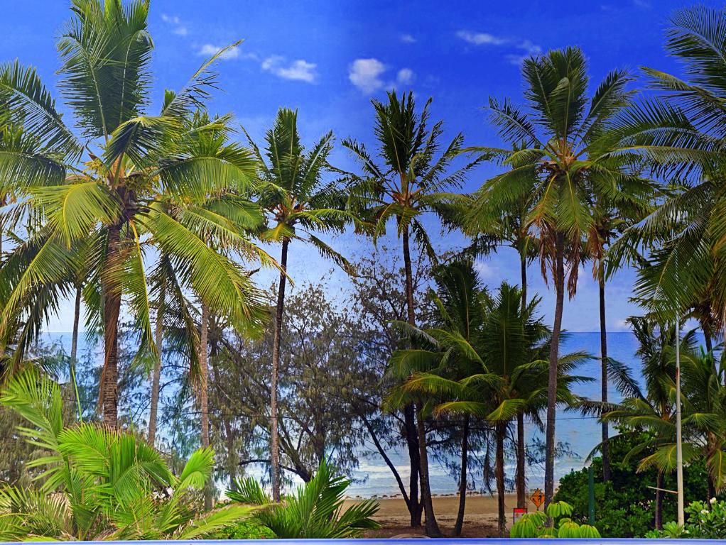 Photo of By The Sea Port Douglas in Port Douglas, Australia