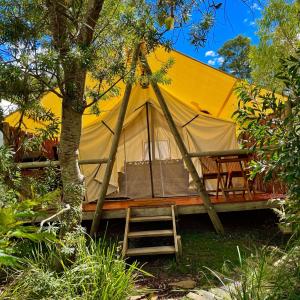 Photo #4 of Wingtons Glamping in Clarence Point, Australia