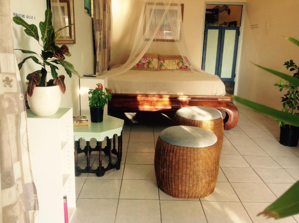 Photo of Magical Garden in Savaneta, Aruba