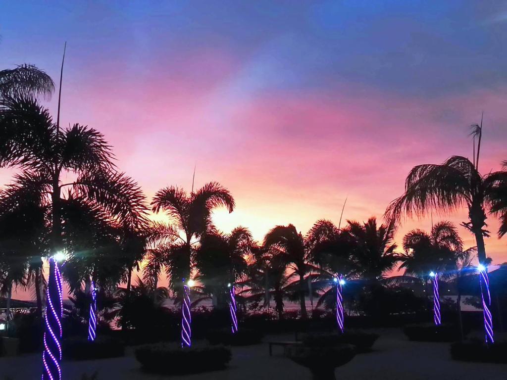 Photo of Aruba Surfside Marina in Oranjestad, Aruba