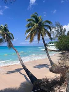 Photo #5 of Purple Rain - Direct Beach Access, 2 Bedroom, 2 Terrace Holiday Home Bliss in Westpoint, Barbados