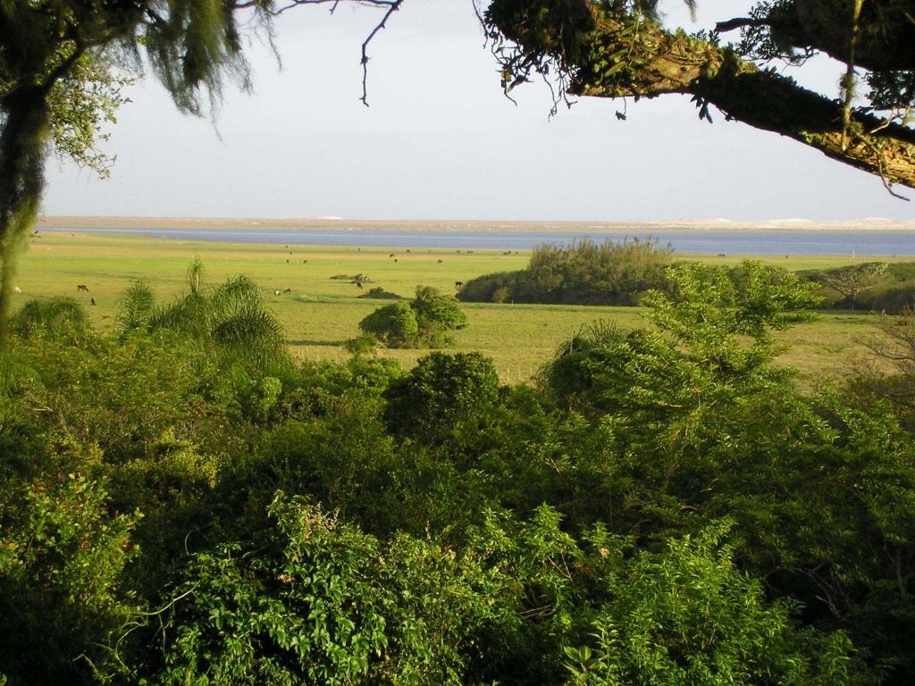 Photo of Aldeia Santuario das Aves in Tavares, Brazil
