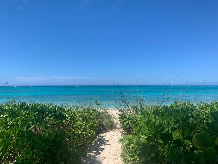 Photo #1 of Beach'nBarefoot (Love Beach) - nestled on the beach in Nassau, Bahamas