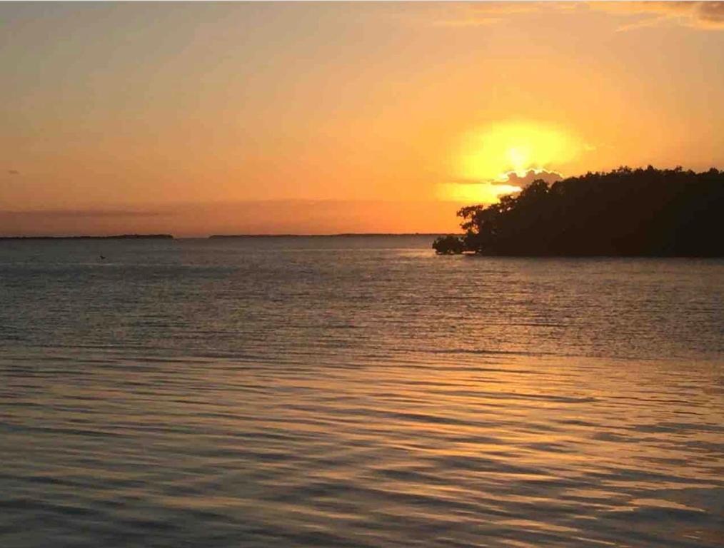Photo of Therapy Cabins in Belize City, Belize