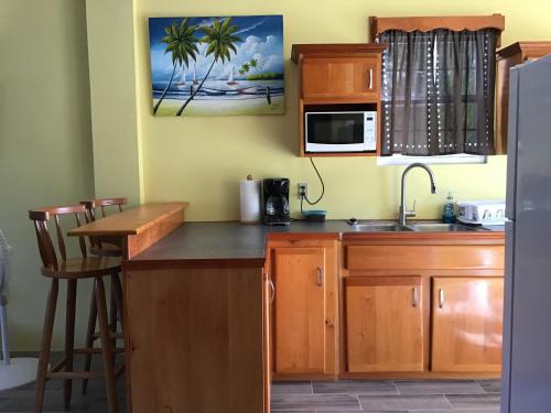 Photo #3 of Hidden Treasure Vacation Home BayBlue Suite 1 in Belize City, Belize