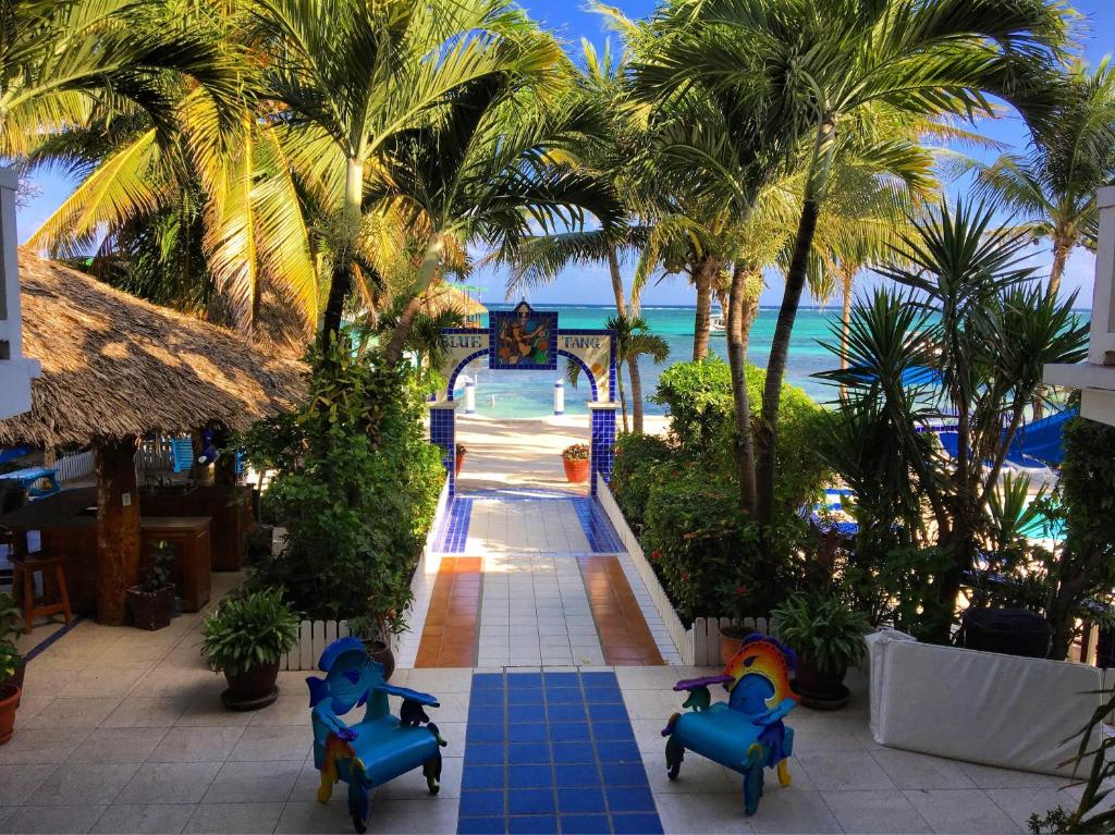 Photo of Coconut Row Boutique Hotel in Hopkins, Belize