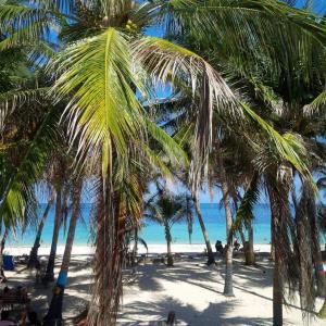Photo #4 of Zippy´s Sea View Apartments in San Andrés, Colombia
