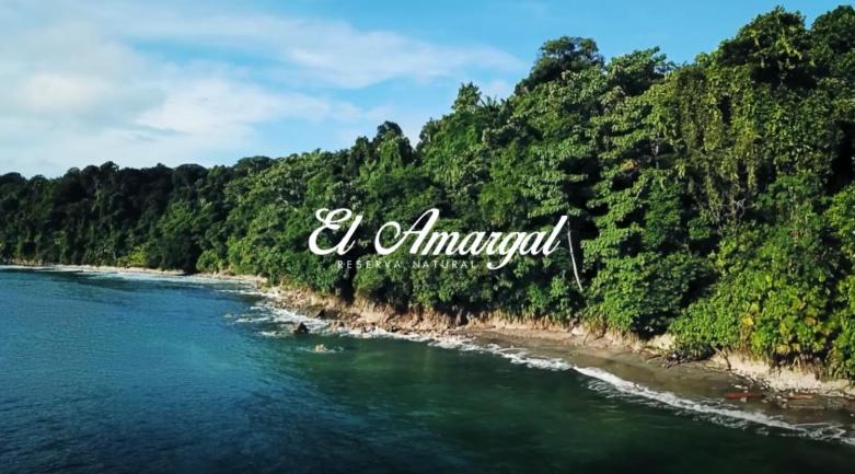 Photo of Lodge El Amargal - Reserva Natural, Ecoturismo & Surf in Nuquí, Colombia