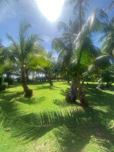 Photo #5 of South End Villas - Apartamentos Paradisíaco en el Caribe Colombiano in San Andrés, Colombia