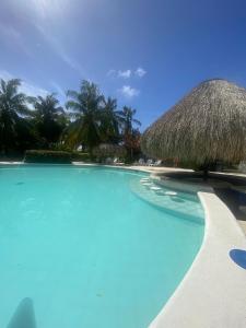 Photo #6 of South End Villas - Apartamentos Paradisíaco en el Caribe Colombiano in San Andrés, Colombia