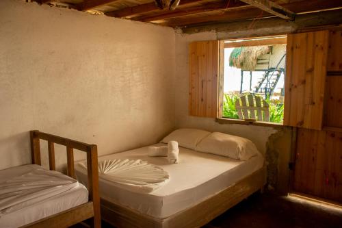 Photo #3 of Dahlandia in Dahlandia, Colombia