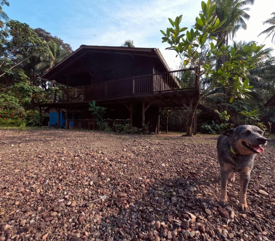Photo #1 of Casa Cielito in Arusi, Colombia