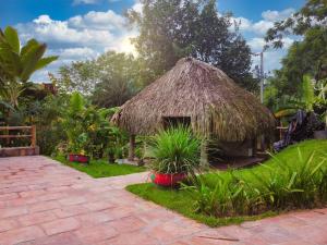 Photo #4 of Fincasa del Mar-La Casa del Arbol in Prado, Colombia