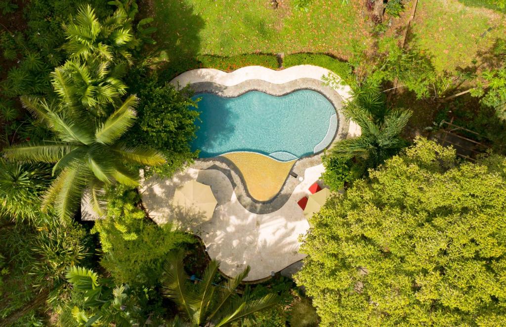 Photo of La Ponderosa in Pavones, Costa Rica