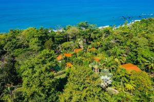 Photo #6 of La Ponderosa in Pavones, Costa Rica