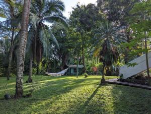 Photo #6 of spirit of jungle lodge in Sámara, Costa Rica