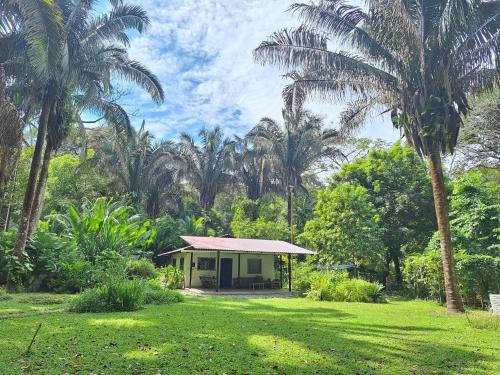 Photo #2 of Four Monkeys Eco Lodge Jungle & Beach - The House in Playa Tamales, Costa Rica