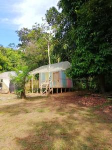 Photo #6 of Life for Life Hostel Drake Bay Home of Sea Turtle Marine Conservation Project Osa Peninsula near San Josecito Beach in Puntarenas, Costa Rica