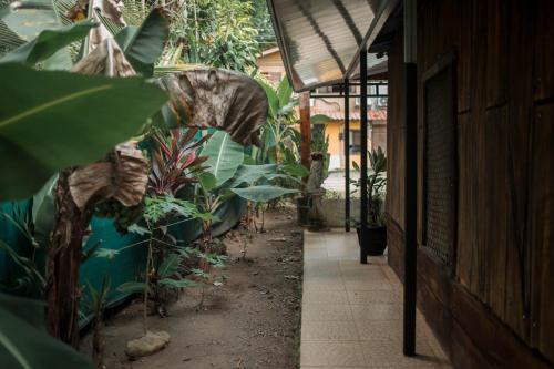 Photo #3 of Camilas Beach House in Dominical, Costa Rica