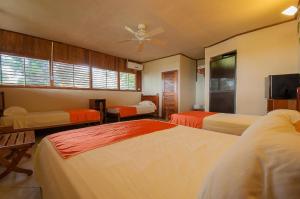 Photo #4 of Drake Paradise Point in Drake Bay, Costa Rica