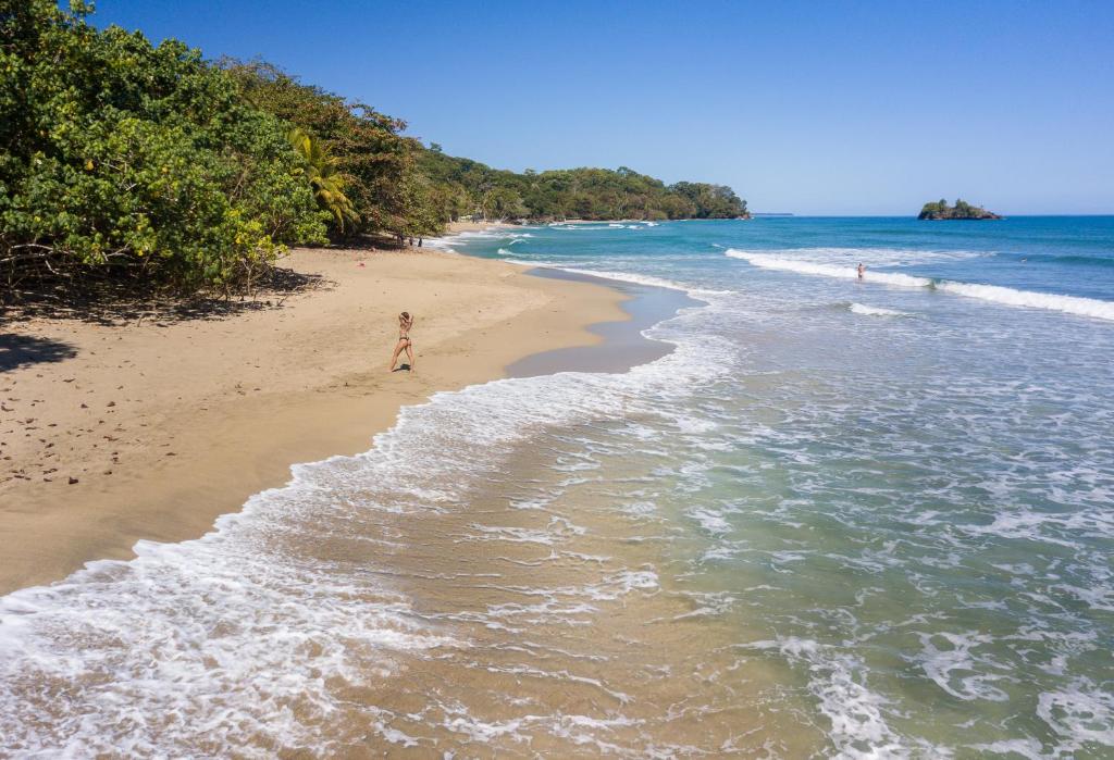 Photo #1 of Playa 506 Beachfront Hostel in Puerto Viejo de Talamanca, Costa Rica