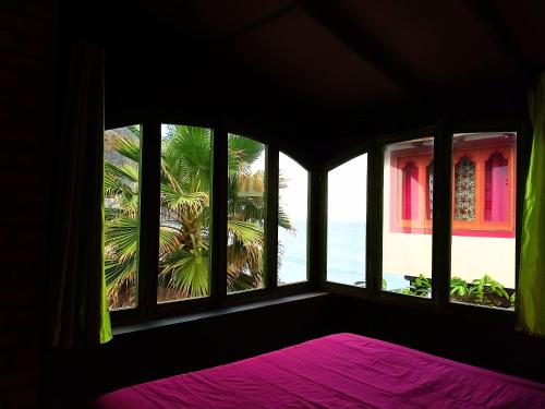 Photo #2 of Black Mamba in Paul, Cape Verde