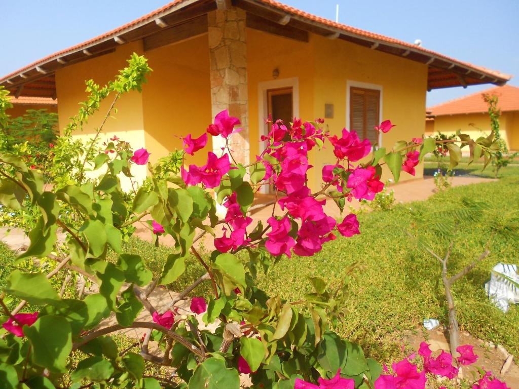 Photo of Villa Maris Ecolodge in Morro, Cape Verde