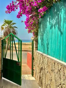 Photo #4 of Boutique Apartments Ibiscus in Santa Maria, Cape Verde