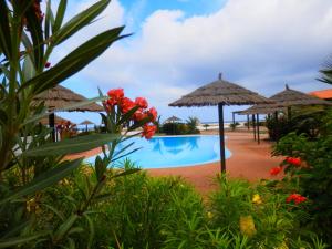 Photo #4 of BCV - Private 2 Bed Penthouse Apartment with Pool View Dunas Resort 4044 in Santa Maria, Cape Verde