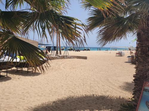 Photo #3 of Appartement Amalia Sal Santa Maria in Santa Maria, Cape Verde