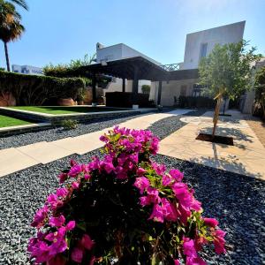 Photo #4 of Beach Shack in Chlorakas, Cyprus