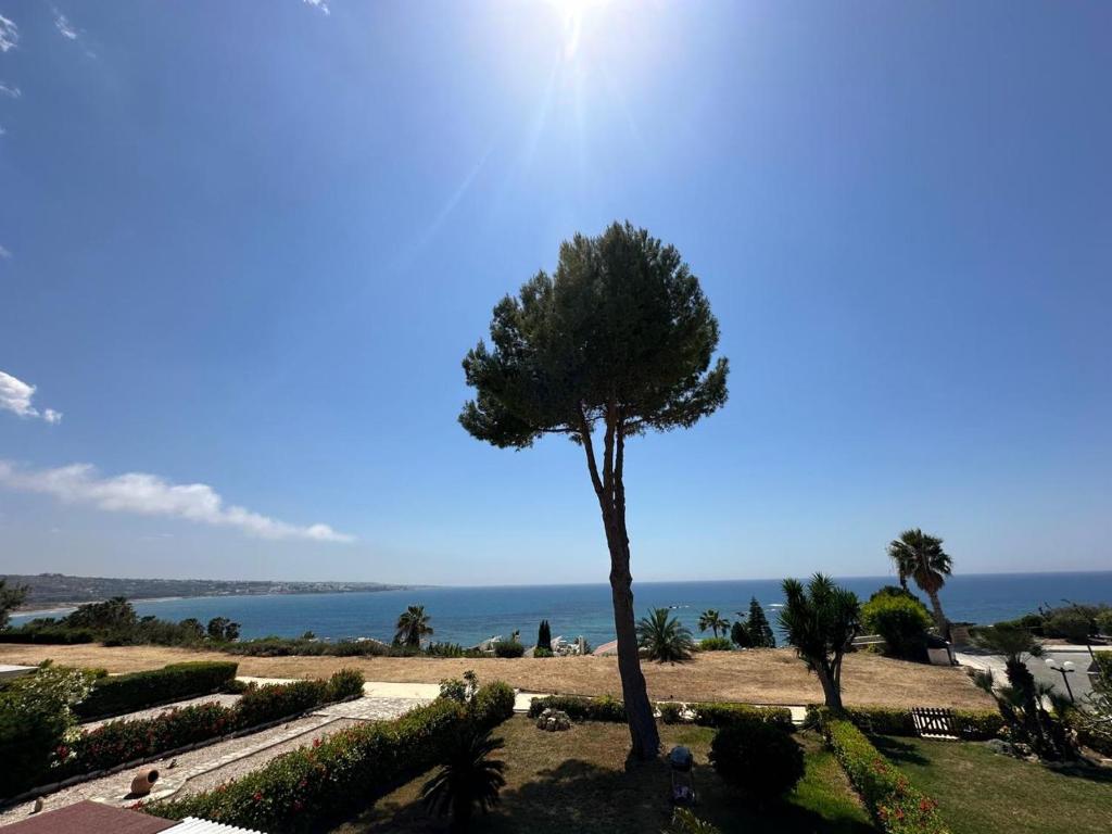 Photo of Serenity Corner in Peyia, Cyprus