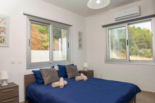 Photo #2 of Paradise Blue Villa in Pomos, Cyprus