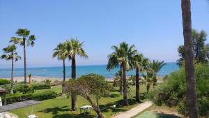 Photo #6 of Sandy Beach Apartment 13 in Larnaka, Cyprus