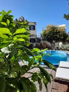 Photo #4 of Vasilion Agrotourism in Polis Crysochous, Cyprus