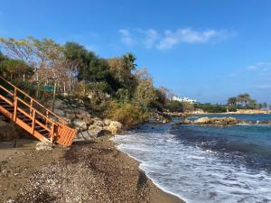 Photo #4 of Olive Tree Villa - Protaras in Agios Nikolaos, Cyprus
