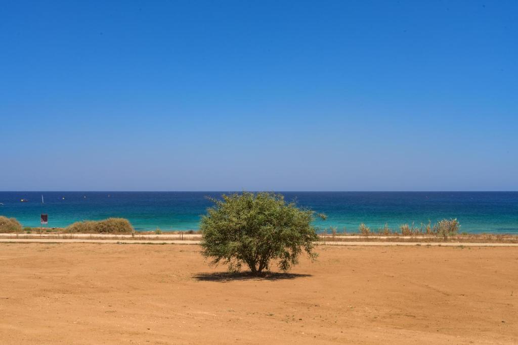 Photo #1 of Indigo in Pernera, Cyprus
