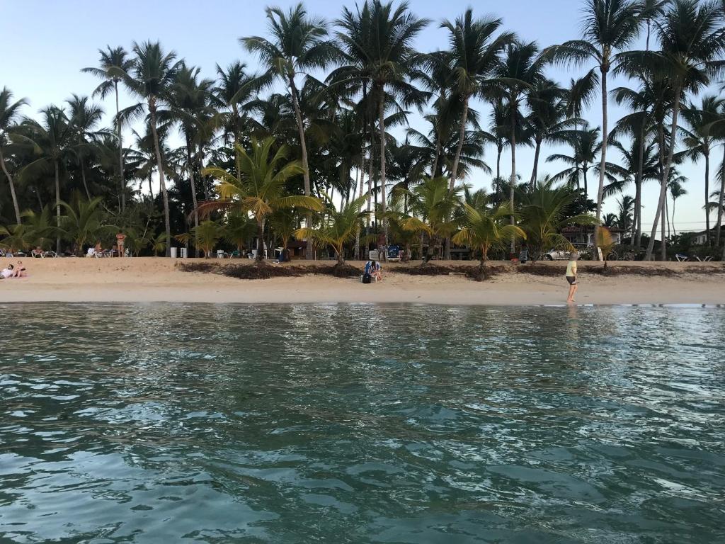 Photo #1 of La Cortesana in Las Terrenas in Las Terrenas, Dominican Republic