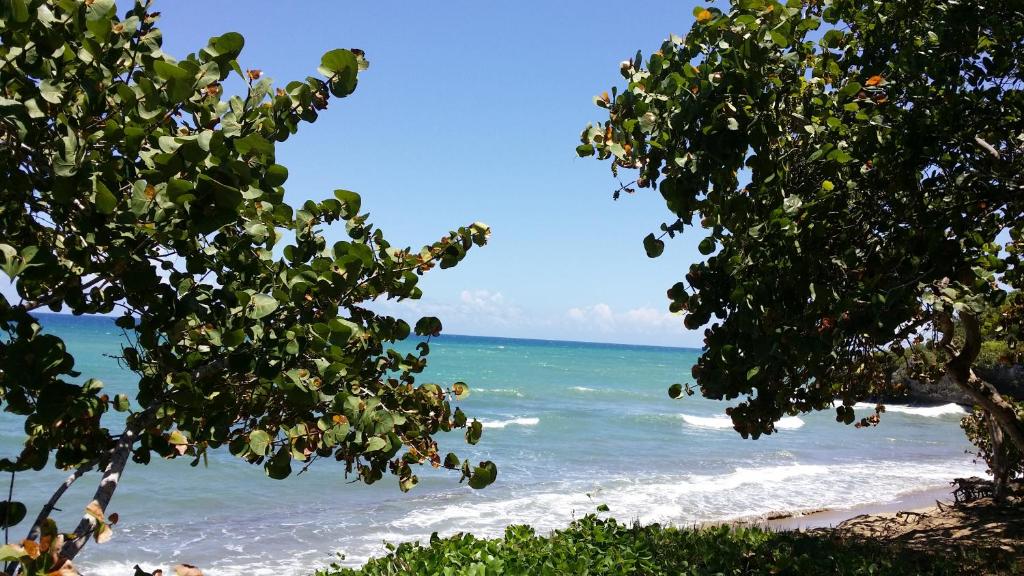 Photo of Koko and Suzy's ocean dream in Laguna del Higuero, Dominican Republic
