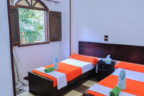 Photo #3 of BAYT ZAINA - Nubian hospitality house in Sheyakhah Oula, Egypt