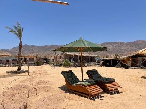 Photo #2 of Live the bedouinlife in Nuweiba, Egypt