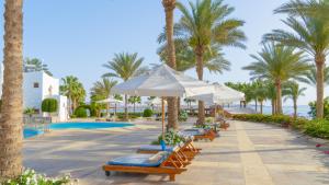 Photo #6 of Sharm Club Beach Resort in Sharm El Sheikh, Egypt